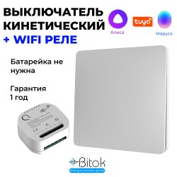 Беспроводной кинетический выключатель света RF 433 МГц Tuya Алиса