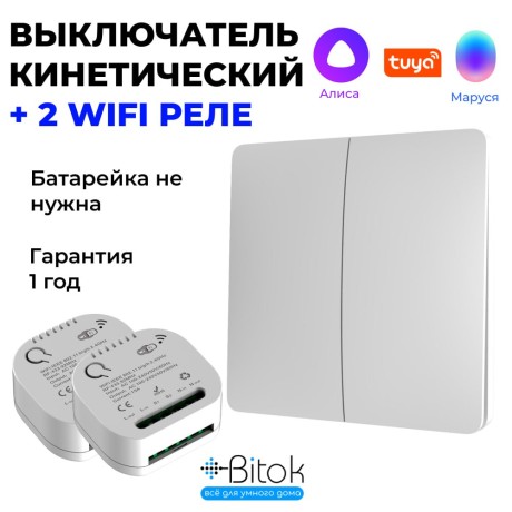 Беспроводной кинетический выключатель света RF 433 МГц Tuya Алиса