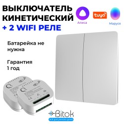 Беспроводной кинетический выключатель света RF 433 МГц Tuya Алиса