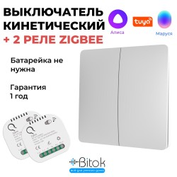 Беспроводной кинетический выключатель света RF 433 МГц Tuya Алиса