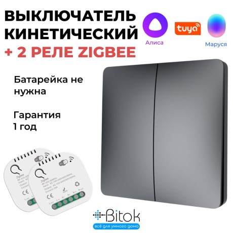 Беспроводной кинетический выключатель света RF 433 МГц Tuya Алиса