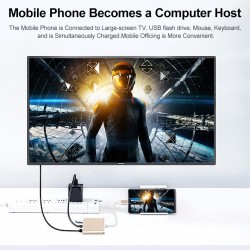 Переходник USB Type-C на HDMI 4K + USB 3.0 + PD до 100 Ватт