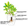 Датчик почвы и освещенности Xiaomi Mi Home Smart Flower Monitor HHCCJCY01HHCC