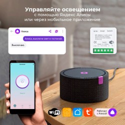 Реле мини Wi-Fi 16А Tuya / Smart life