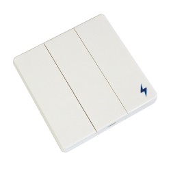 Беспроводной выключатель света RF 433 МГц 220В  Smart life с молнией